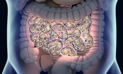 El Papel Del Microbioma Intestinal