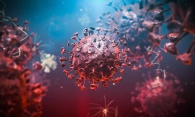 Preocupacion Y Alarma Entre Dominicanos NYC Casos Covid 19 Se Disparan