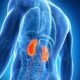Renal