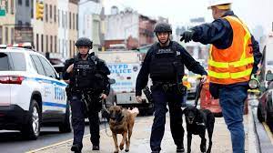 Policias Y Perros