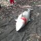 IMG 20220709 WA0003