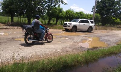 LAS CANAS I