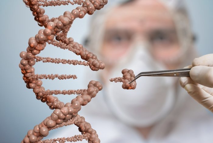 Cancer Y Genetica