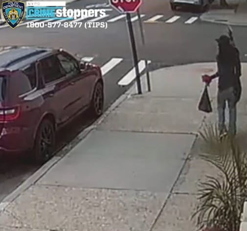 Z Aparente Indigente Dispara Antojadizamente En Staten Island Lugar Residen Dominicanos