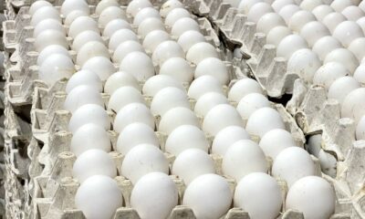 Huevos 02
