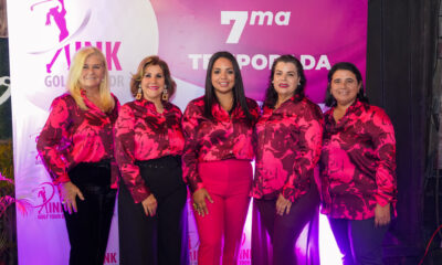 Directiva De Pink 2023 2025