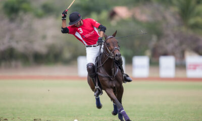 Polo1