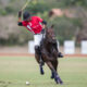 Polo1
