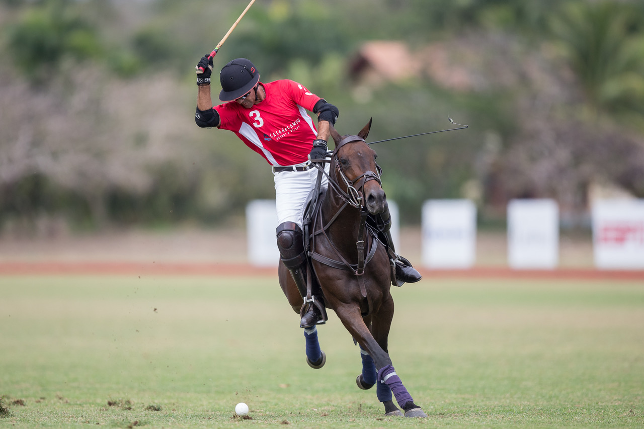 Polo1