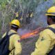 Bomberos