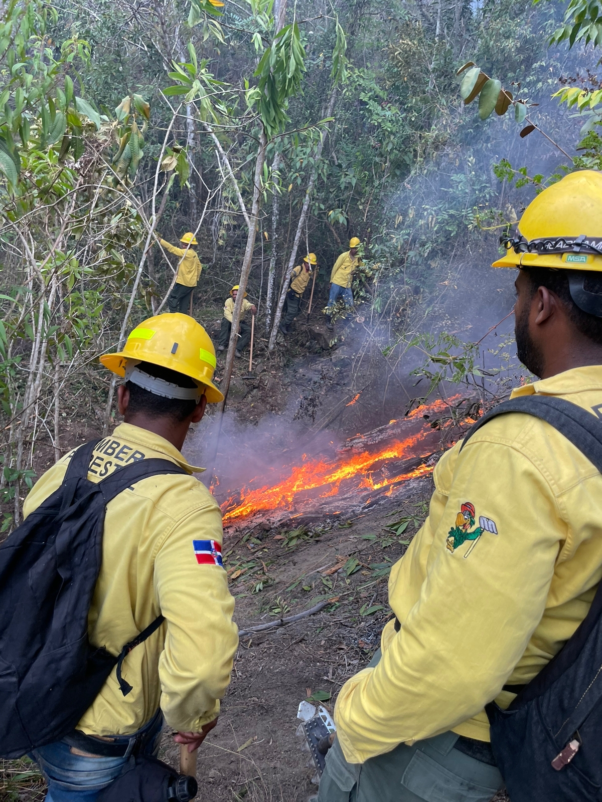 Bomberos