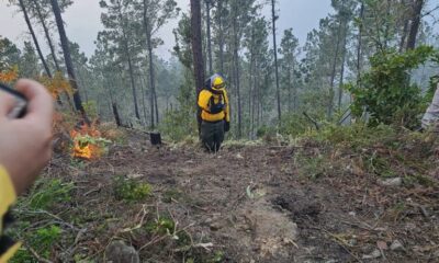 Foto 1. El Control Del Siniestro Se Debe A Las Labores Del Cuerpo De Bomberos Forestales En Coordinacion Con Diferentes Instituciones Del Estado.