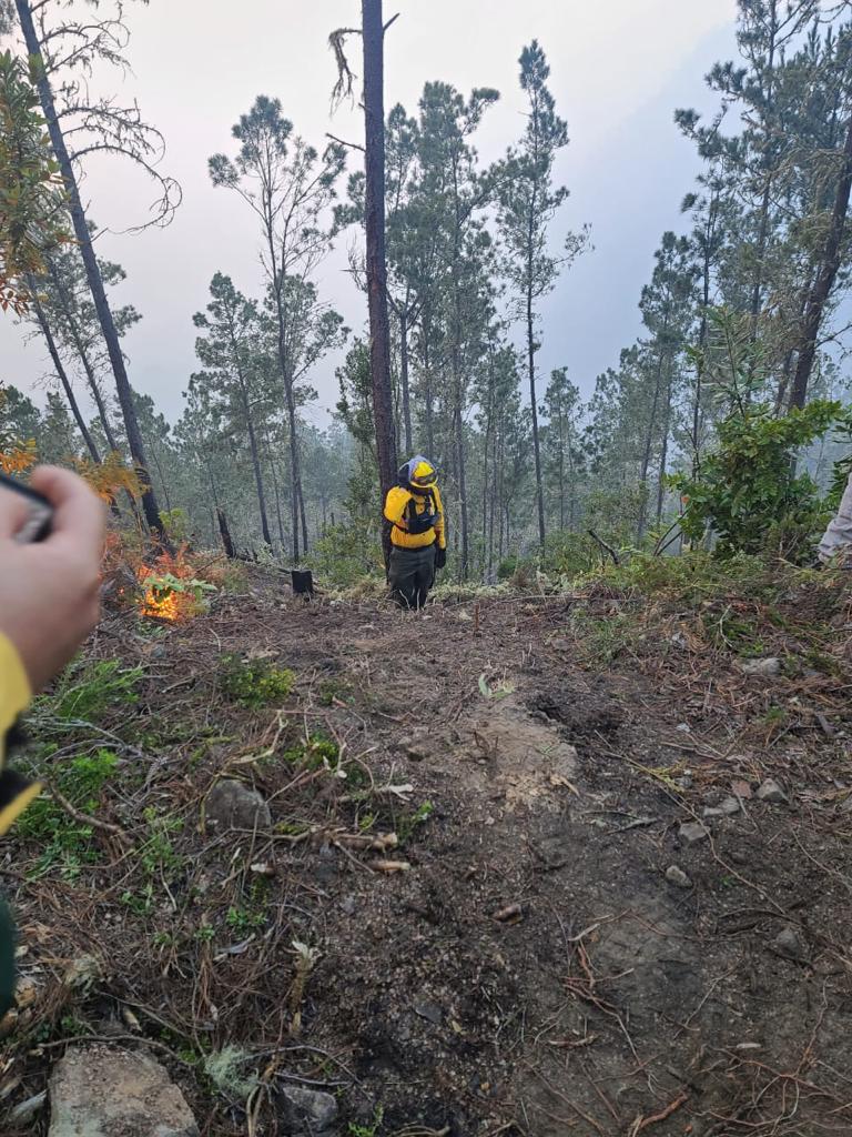 Foto 1. El Control Del Siniestro Se Debe A Las Labores Del Cuerpo De Bomberos Forestales En Coordinacion Con Diferentes Instituciones Del Estado.