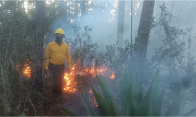 Foto 2. Medio Ambiente Junto A Otras Entidades Del Estado Intensifican La Acciones Contra Los Incendios