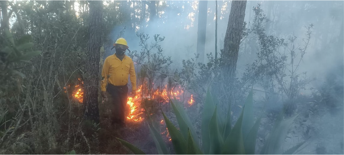 Foto 2. Medio Ambiente Junto A Otras Entidades Del Estado Intensifican La Acciones Contra Los Incendios