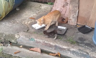 WhatsApp Image 2023 06 27 At 11.37.45 AM