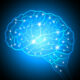 Cerebro