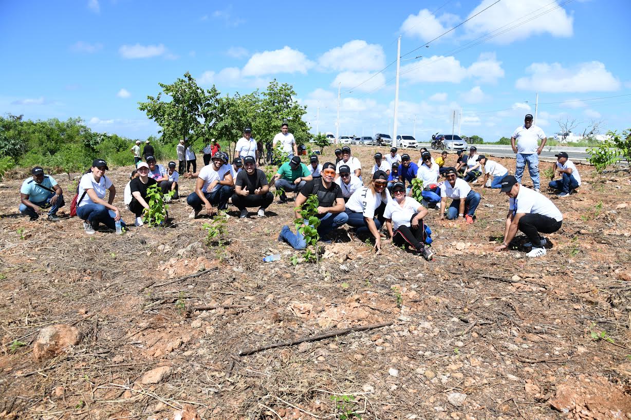 Claboradores de la Oficina Nacional de Derecho de Autor (ONDA) siembran arboles en la avenida Ecológica de Santo Domingo Este.