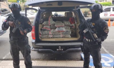 La droga incautada.