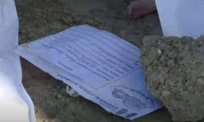Encuentran Cadaveres De Recien Nacidos Frente Al Cementerio Cristo Salvador