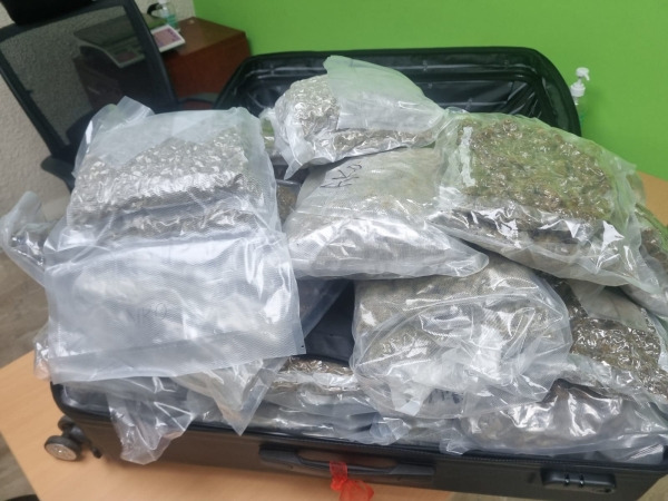Marihuana En Aeropuerto De Punta Cana