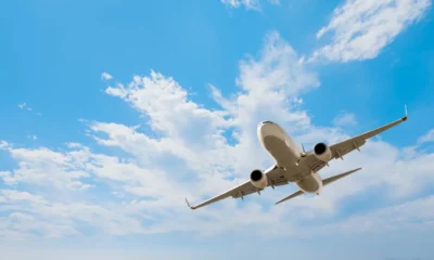 Avion