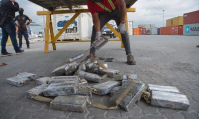 COCAINA EN CARGAMENTO DE MANGO