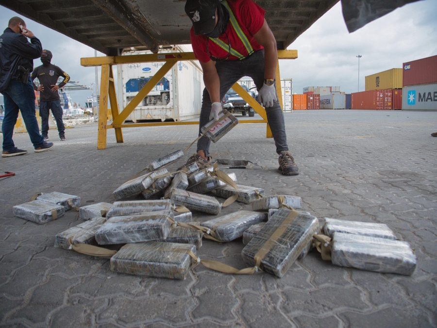 COCAINA EN CARGAMENTO DE MANGO