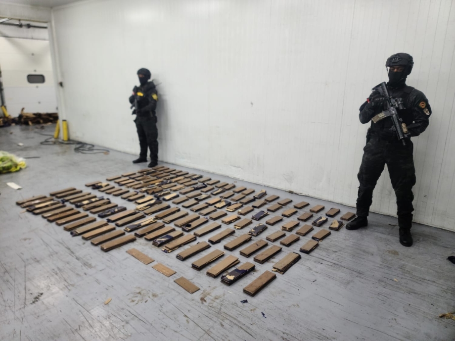 Cocaina A Belgica