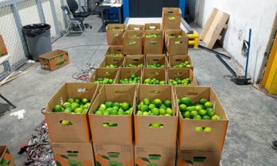 LIMONES CON DROGAS