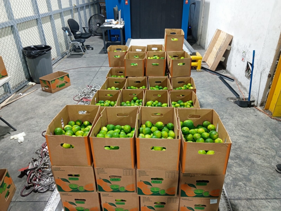 LIMONES CON DROGAS