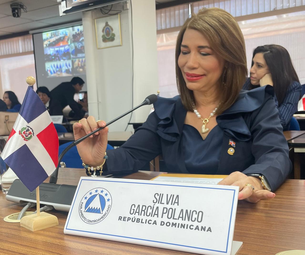 Foto Diputada Silvia Garcia