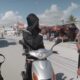 IMG 6264