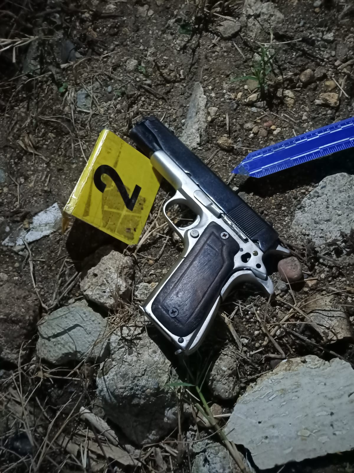 PHOTO 2025 08 03 11 18 09