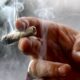 Ante Tormenta Neoyorkinos Acudieron En Masa A Comprar Marihuana En Tiendas Legales 1