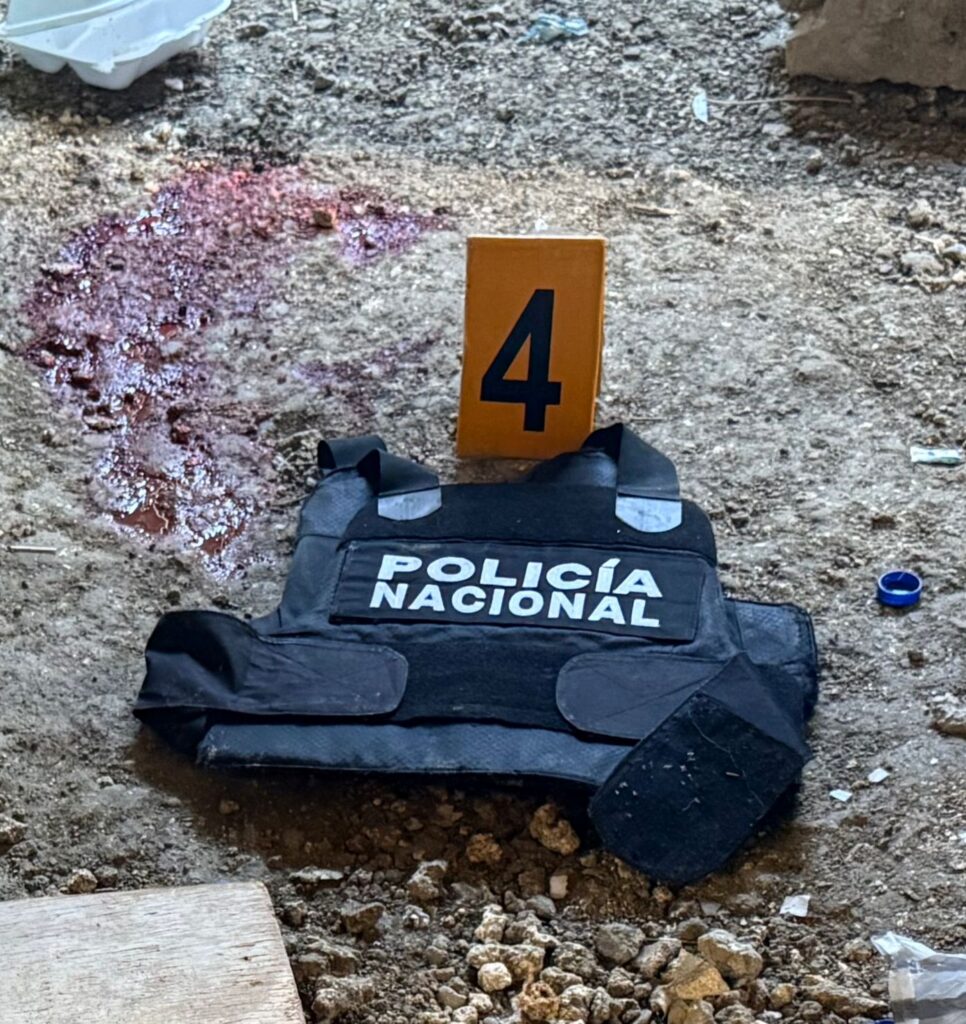 PHOTO 2026 02 07 09 26 47