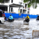 Lluvias 