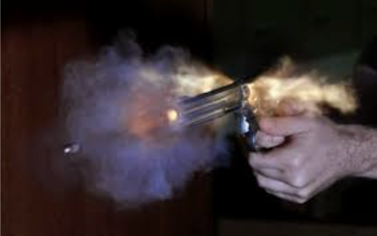 Revolver
