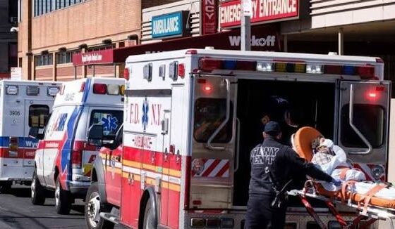 Lio Entre Presuntos Dominicanos Deja Un Fallecido A Punaladas En El Bronx
