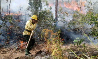 Incendios Forestales