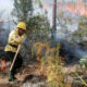 Incendios Forestales